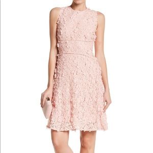Ellie Tahari floral appliqué dress